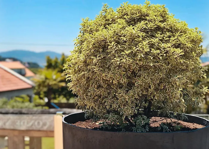 Conde Navio Отель